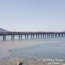 인라인스케이트장 옆 이미지