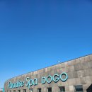 파라다이스유황천 | [파라다이스 스파 도고] 늦가을 아산에서 워터파크,온천 즐기기!/파라다이스 스파 워터파크 로우시즌 후기