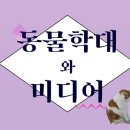 카라 미디어 이미지