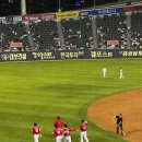 잠실야구장 3루 원정응원석 오렌지석 후기(역전만루홈런 맞고 패배..ㅠ)