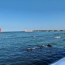 일번지 초장 이미지