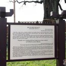 함안 영동리 회화나무 이미지