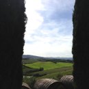 Caparzo Brunello di Montalcino 2018 (카파르조 브루넬로 디 몬탈치노 2018)