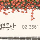 에스더공인중개사사무소 이미지