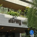 도쿄 긴자호텔, 도미인 프리미엄 긴자 핫스프링 호텔 더블룸 2박 솔직 후기