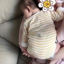 시우옷장