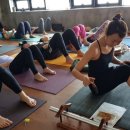 프라나요가 이미지