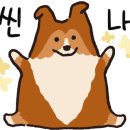 김민재동물병원 이미지