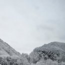 홍경령법률사무소