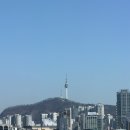 해물점 남영 | 서울 용산/남영/숙대입구, 분위기와 안주가 너무 좋았던 해물점 남영점 방문후기