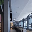 맥스노래연습장 이미지