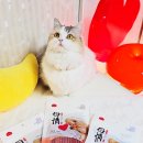 에이치디씨(HDC) | 강아지 져키 고양이 간식 : HDCpet 모정져키 연어 오리 소고기 세가지 다 맛있어서 추천해요