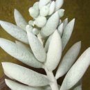 은월농장 이미지