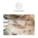 오산동물병원 이미지