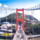 남해가봄 이미지