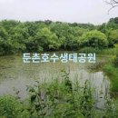 강동-천호-1291 이미지