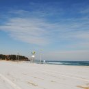 새천년의 빛 이미지