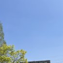 둥지별곡 이미지