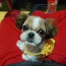 단비 이미지
