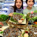과메기 이미지