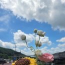 강원도노래연습장 이미지