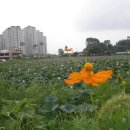 수완농장 이미지