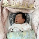 [임신/출산 축하 선물] 트리아트 - 우드 디데이 달력 실 사용 후기