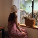 인생밥집 이미지