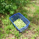 찬구농장 이미지