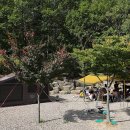 젤루느린달팽이 이미지