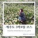 순희네멸치국수 | 제주도 3박4일 코스 추천 커플 숙소 힐링하는 법 여행 중 읽기 좋은 책