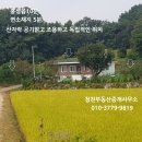 홍성/ 읍내10분산자락 독립적 564평 조적조슬래브주택 2억9천만 이미지