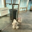 대전24시 센트럴동물병원 이미지