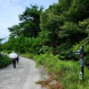 남파랑길24코스(저구항~탑포마을)를 걷다 이미지