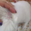 이쁘개(내포신도시점) 이미지