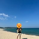 내산1리 | 울진 스노쿨링,여름이 너무 좋아!