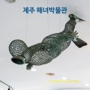 해녀 | 제주 해녀박물관 관람 후기, 비 오는 날 가기 좋은 제주도 실내 관광지