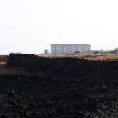 등대회관 이미지