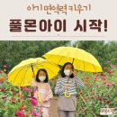 건강교실-자연면역력 키우기 | 아기 면역력 키우기 확실한 선택 풀몬아이