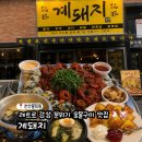 《천안/불당동》 레트로 감성 숯불구이 맛집 “계돼지” 방문 후기🐔🐷