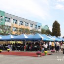 원삼초등학교 이미지