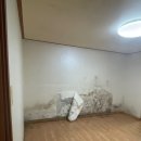 디자인차이