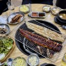 일출봉 민물장어 이미지