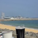 백종환 | "푸른 동해 바다 앞 속초 카페" 셜터 &amp; 셜터스튜디오 속초 해수욕장 카페 올데이 속초패스