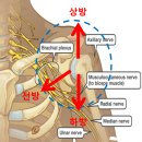 양촌한의원 이미지