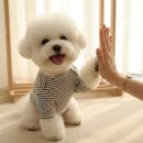 올웨이즈카페24