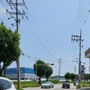 단월원조중화요리 이미지