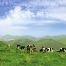 남산목장 이미지