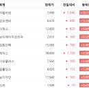 오리엔트전자(유한)