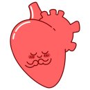 빌리프짐 상동 이미지